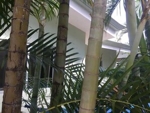 Exterior detail - Cote Pacific Villa 4/5. (Cabo Velas District)