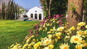 Un jardin avec des fleurs jaunes et roses, un bâtiment blanc orné d’arches et un arbre.