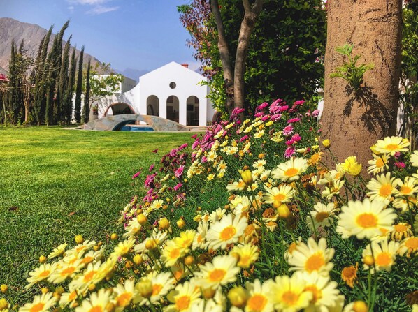 Un jardín con flores amarillas y rosas, un edificio blanco con arcos y un árbol.