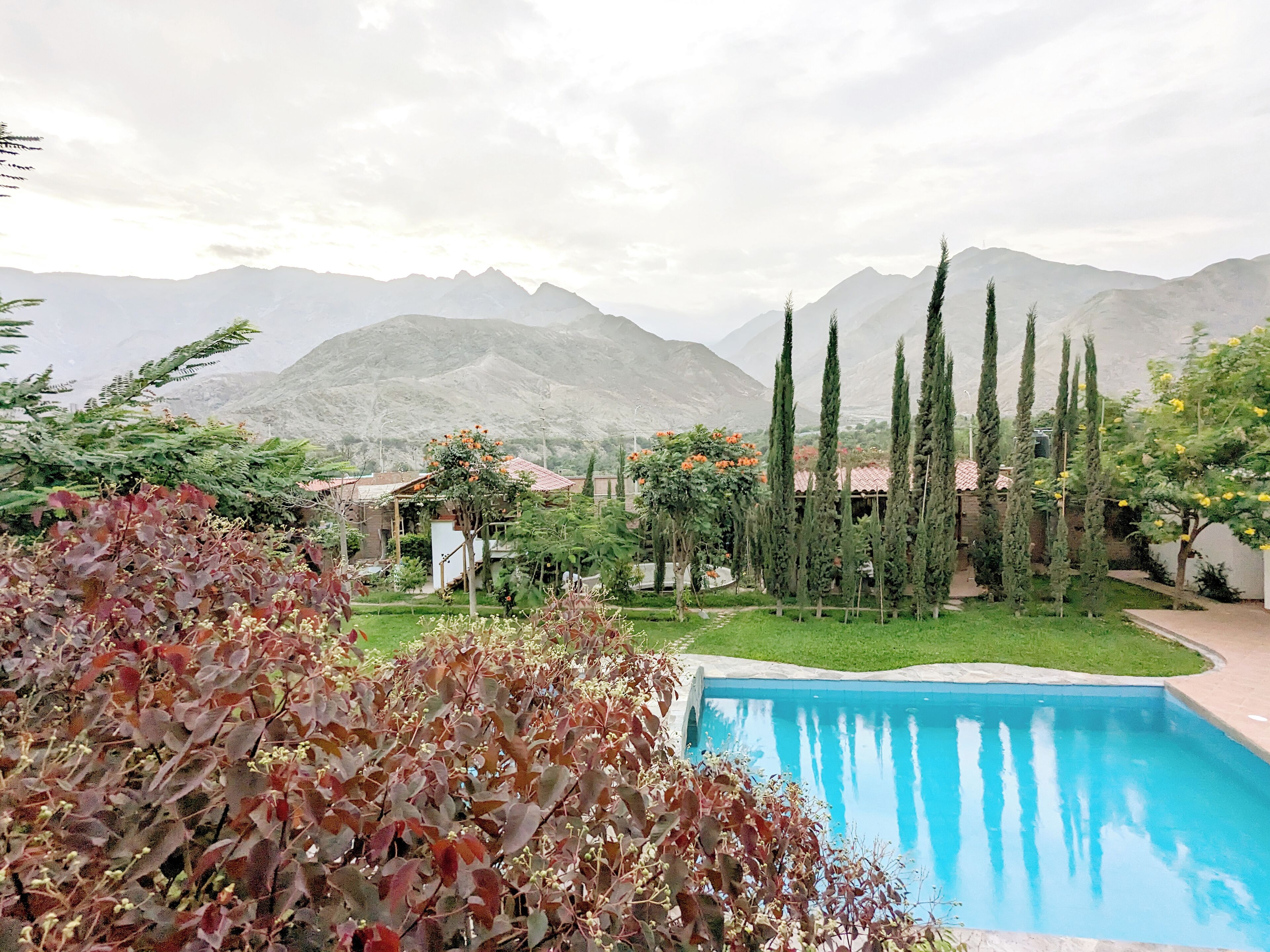 Una piscina rodeada de vegetación y montañas al fondo.