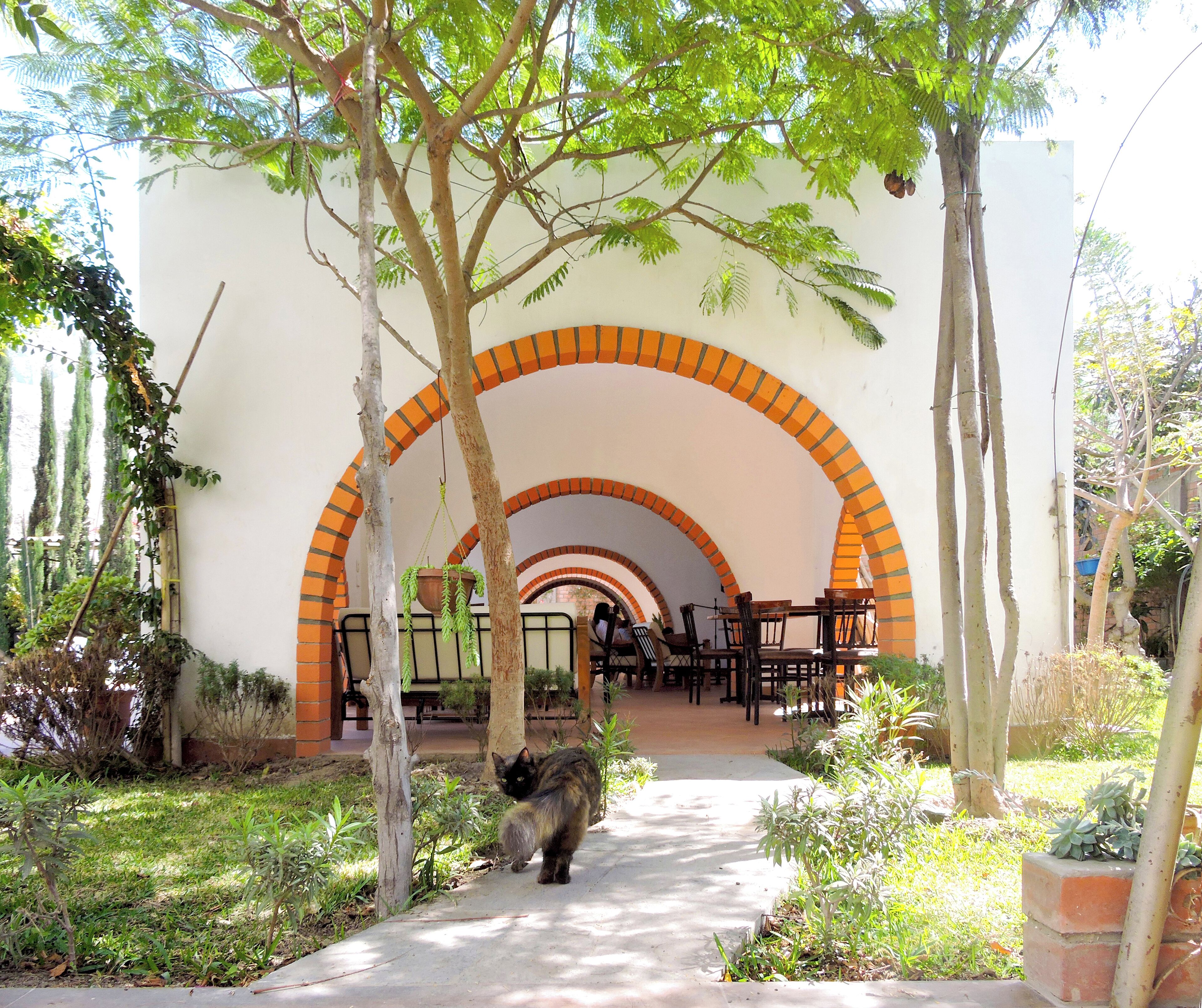 Un patio al aire libre con arcos de ladrillo, asientos exteriores y un gato caminando por el sendero.