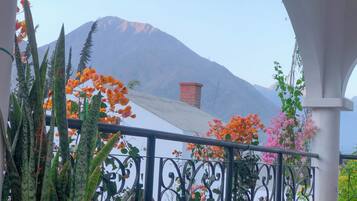Un balcón con vista a una montaña, una chimenea de ladrillo y diversas plantas.