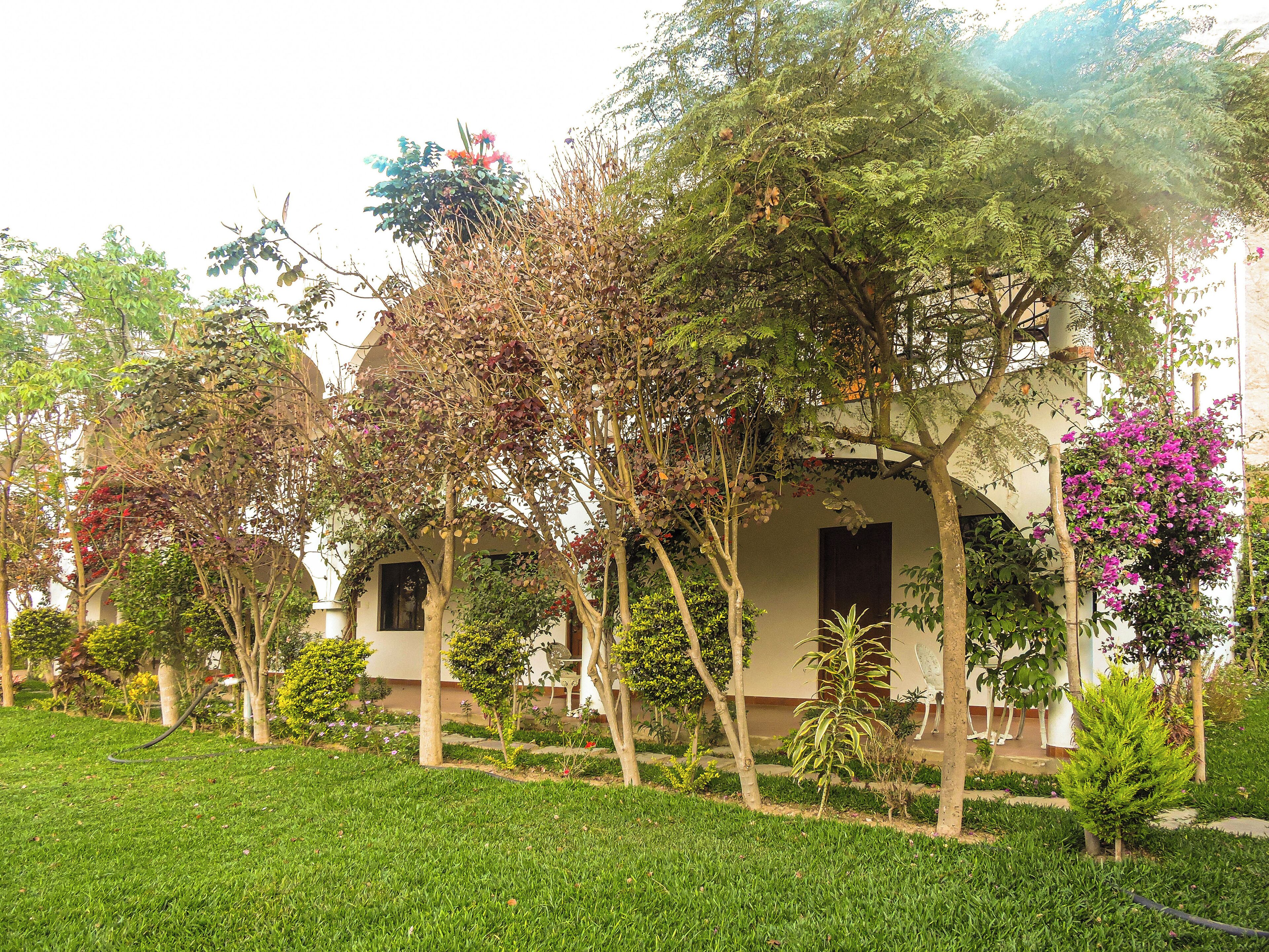 Un jardín bien cuidado con varios árboles y arbustos, un césped y un edificio con porche.
