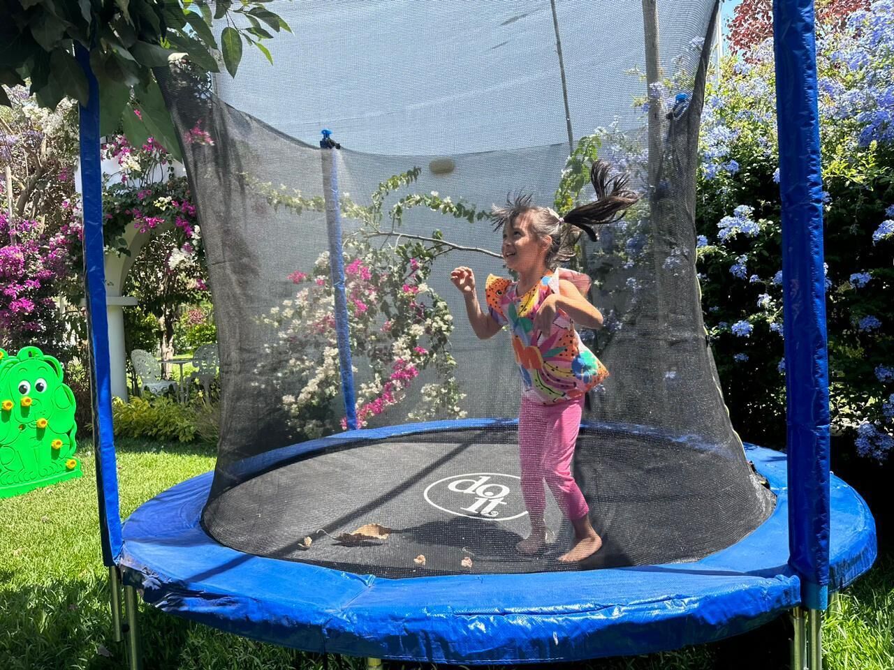 Un trampolín con red de seguridad, rodeado de follaje y flores.