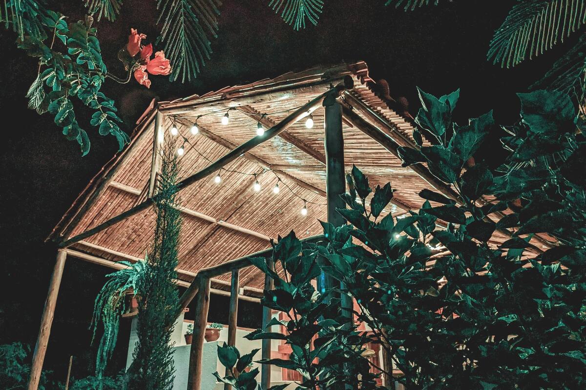 Une structure rustique en bois, décorée de guirlandes lumineuses, entourée d’un feuillage dense.