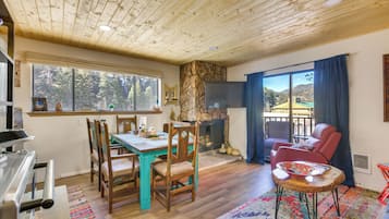 TV, fireplace, DVD player, books