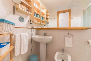 Shower, hair dryer, bidet, towels