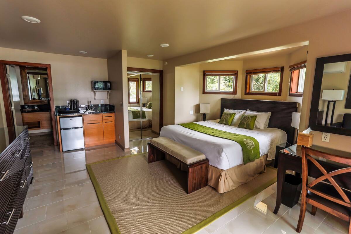 luxury studio suite, 1 king bed, beach view, oceanfront orchid | premium bedding, pillow-top beds, in-room safe, individually decorated