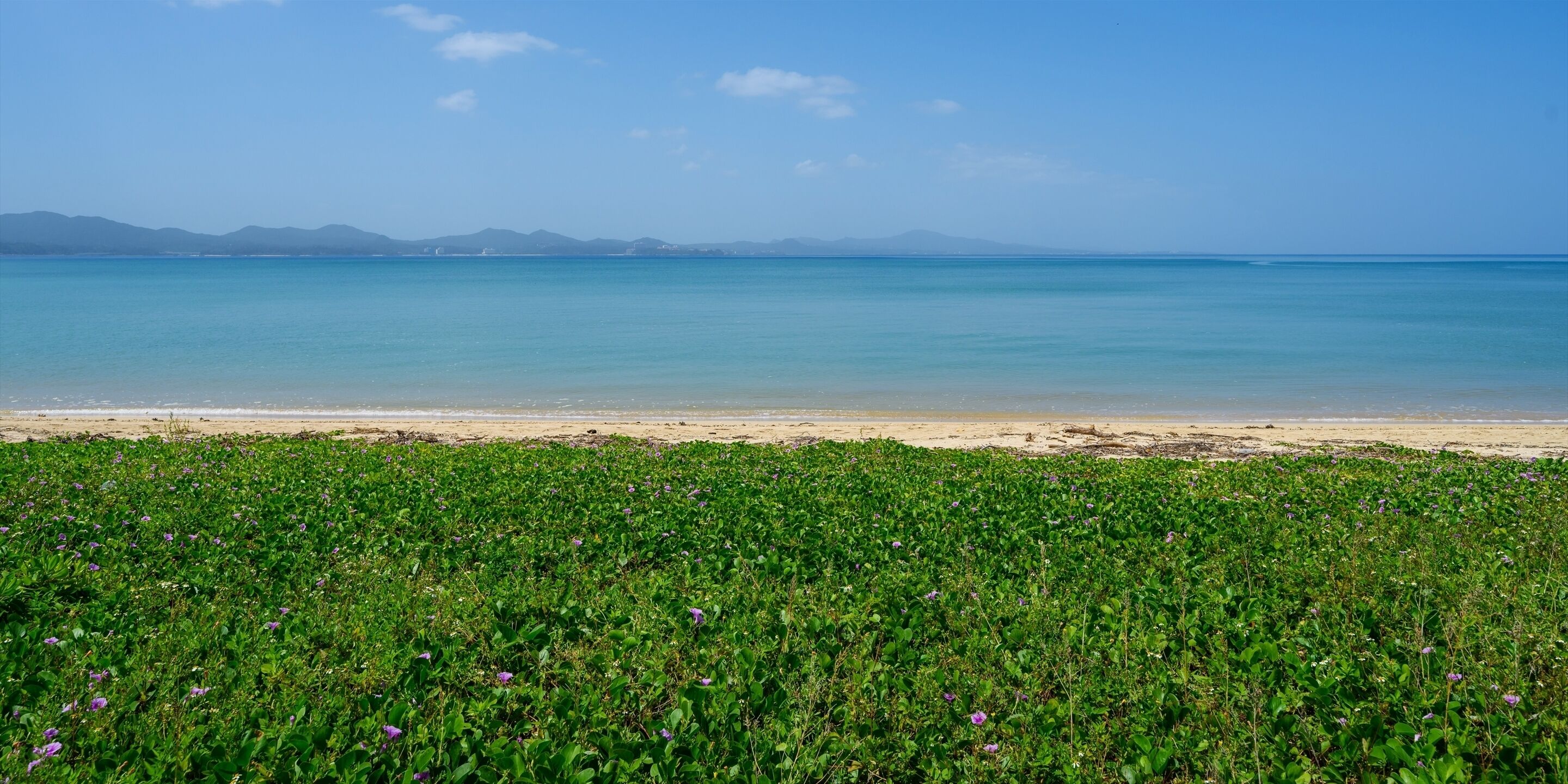 A beach with green vegetation in the foreground and a clear view of the sea and distant mountains.