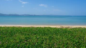 A beach with green vegetation in the foreground and a clear view of the sea and distant mountains.