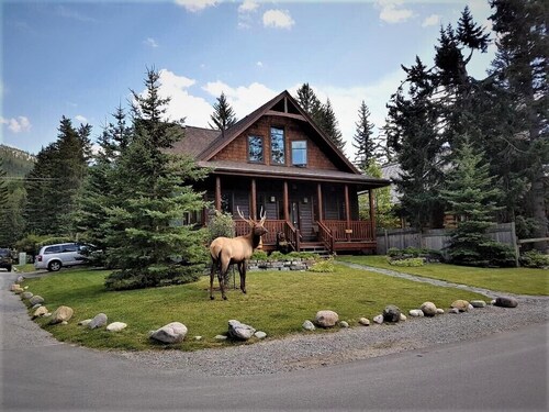 The Cedar - Downtown, walking distance to all the shops and restaurants!