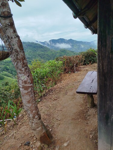 Sustainable Living: Solar Eco-Retreat in Paradise, and Pet-Friendly!