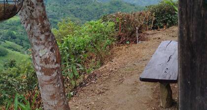 Sustainable Living: Solar Eco-Retreat in Paradise, and Pet-Friendly!