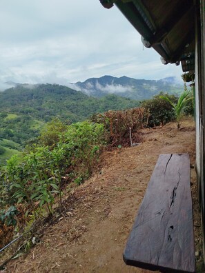 A rustic wooden bench overlooking a lush valley with a mountain range in the background.