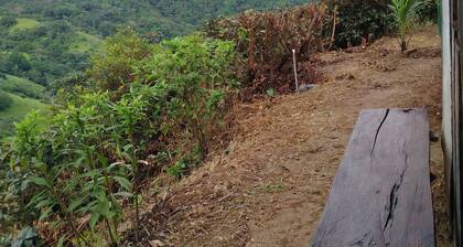 Sustainable Living: Solar Eco-Retreat in Paradise, and Pet-Friendly!