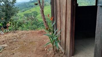 DĂ©tail de lâextĂ©rieur