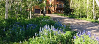 Mountain Modern- NEW- Wildflowers, backs up to Snodgrass Trail & VIEWS of Mt CB