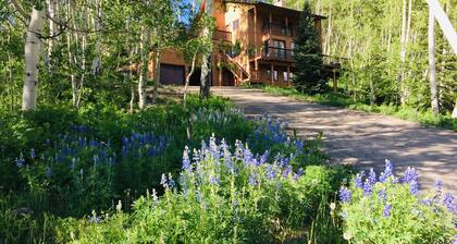 Mountain Modern- NEW- Wildflowers, backs up to Snodgrass Trail & VIEWS of Mt CB