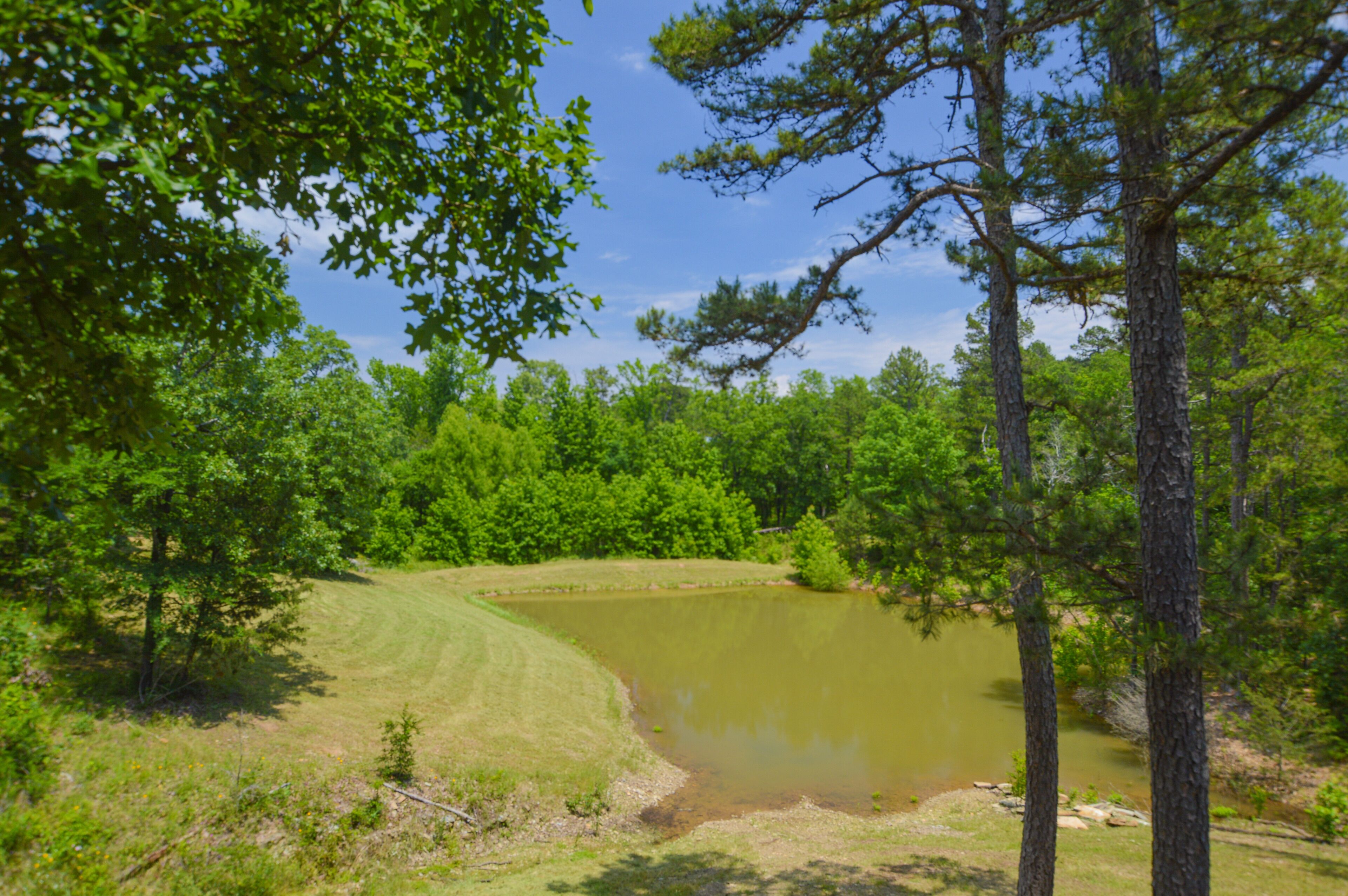 Eine natürliche Landschaft mit Teich, Bäumen und einer Rasenfläche.