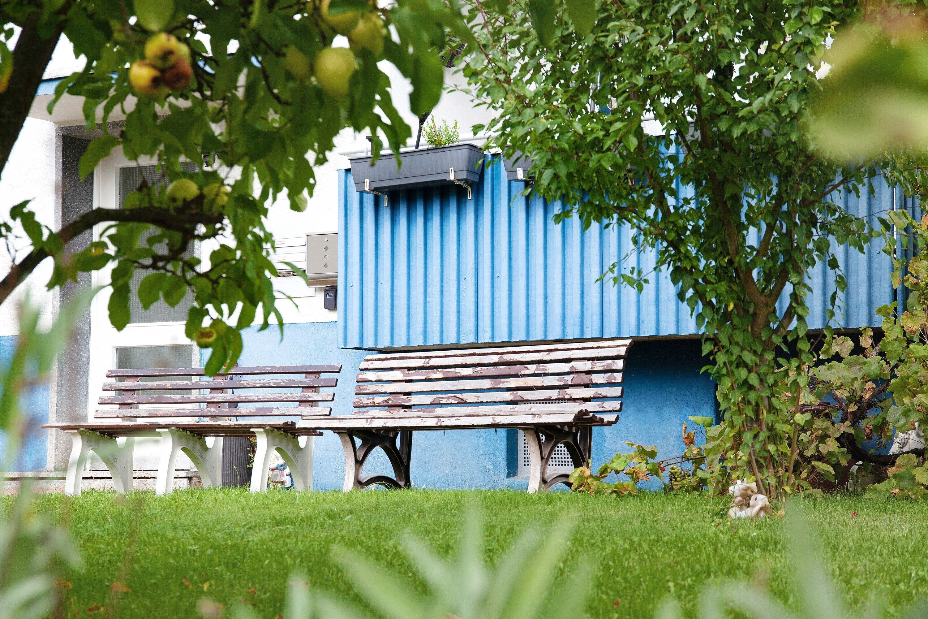 Àrea exterior de l'allotjament