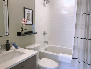 Hair dryer, towels, soap, shampoo