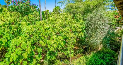 Luxury, upgraded Waikomo Streams condo with pool - walk to Poipu Beach