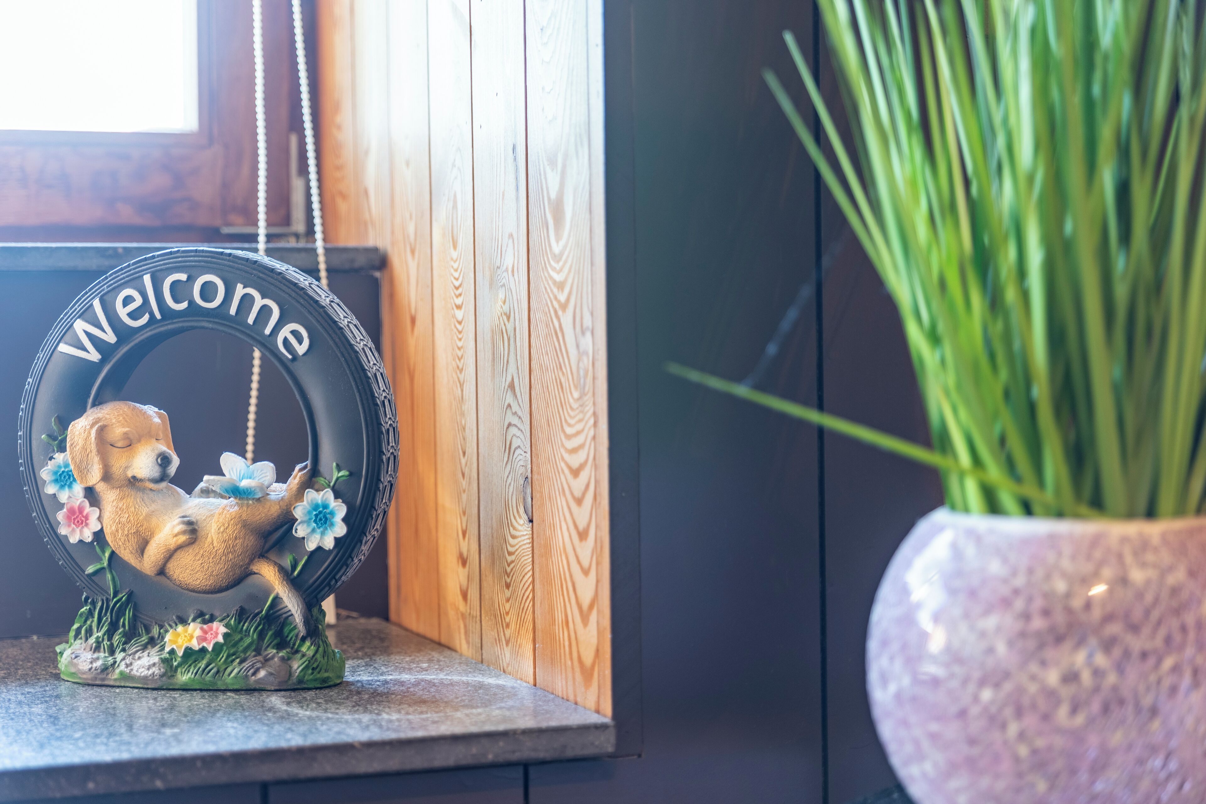 Welkomstbord met een hond en bloemen, houten wand en een bloempot.