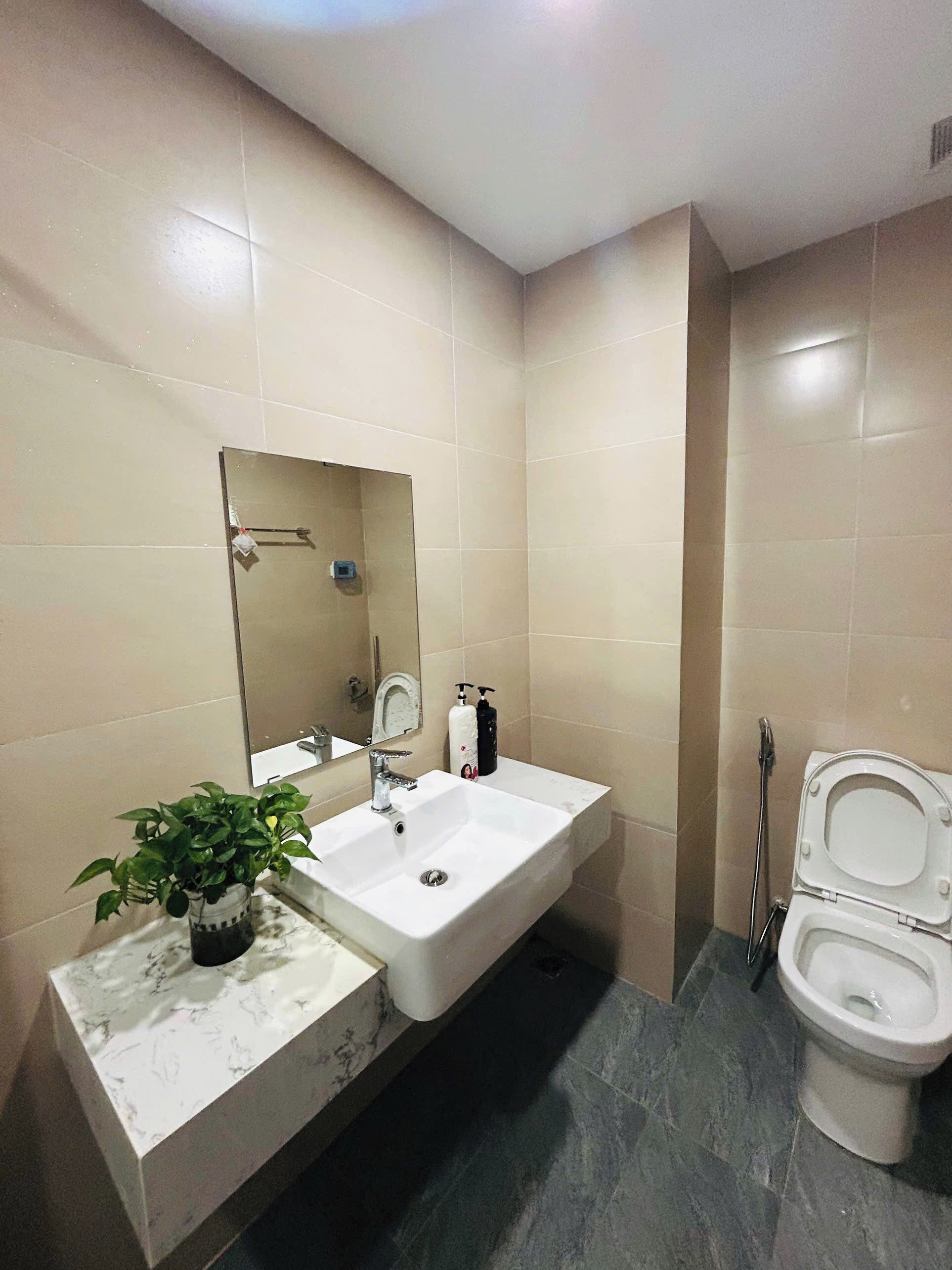 A bathroom with a white sink, a mirror, a toilet, and a potted plant.