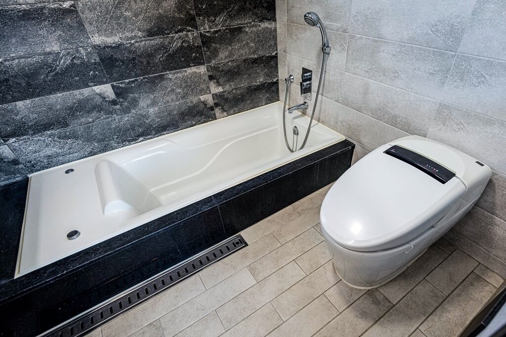 Shower, jetted bath, hair dryer, bidet