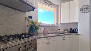 A modern kitchen with a gas stove, stainless steel cabinets, a window with a view, and a decorative vase with flowers. - Elegant apartment with sea view (Nebida)