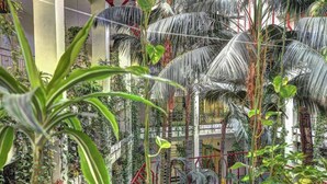An indoor atrium with multiple levels of greenery, including tall palm trees and hanging plants. - Benalbeach Apartment with Side Sea Views (Benalmádena)