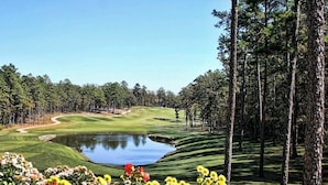 Un parcours de golf avec un étang, entouré d’arbres et de fleurs.