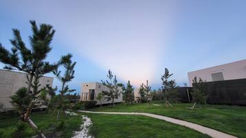 A modern building complex with a grassy courtyard, pathways, and several trees.