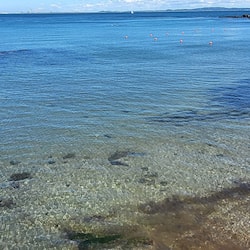 位於海灘上、黑沙