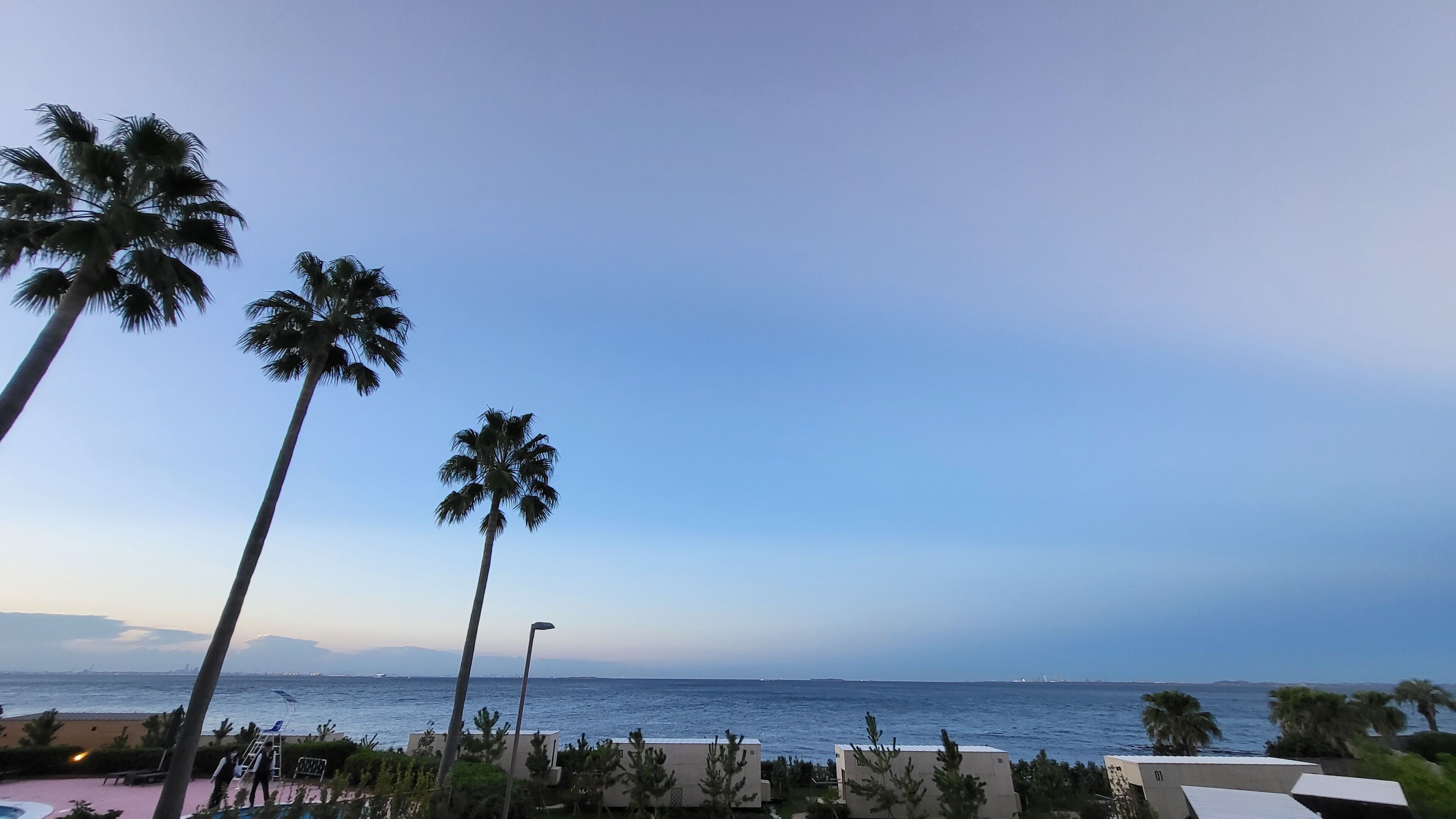 A coastal view with palm trees, a beach, and a clear sky.