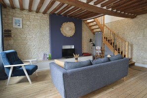TV, fireplace, books