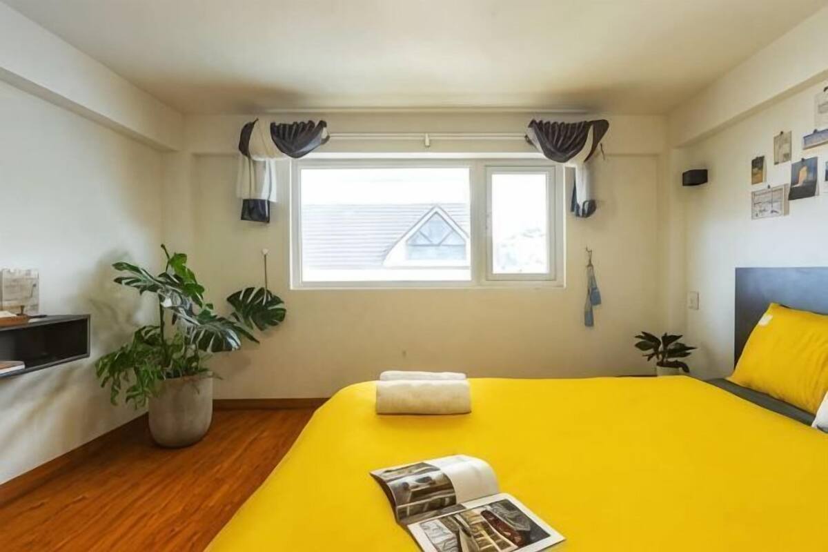 A room with a bed, a window, curtains, a plant, and a wall with pictures.