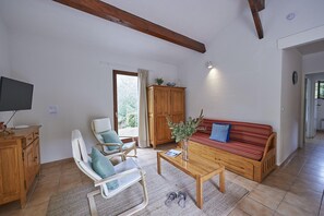 تلفزيون ذكي