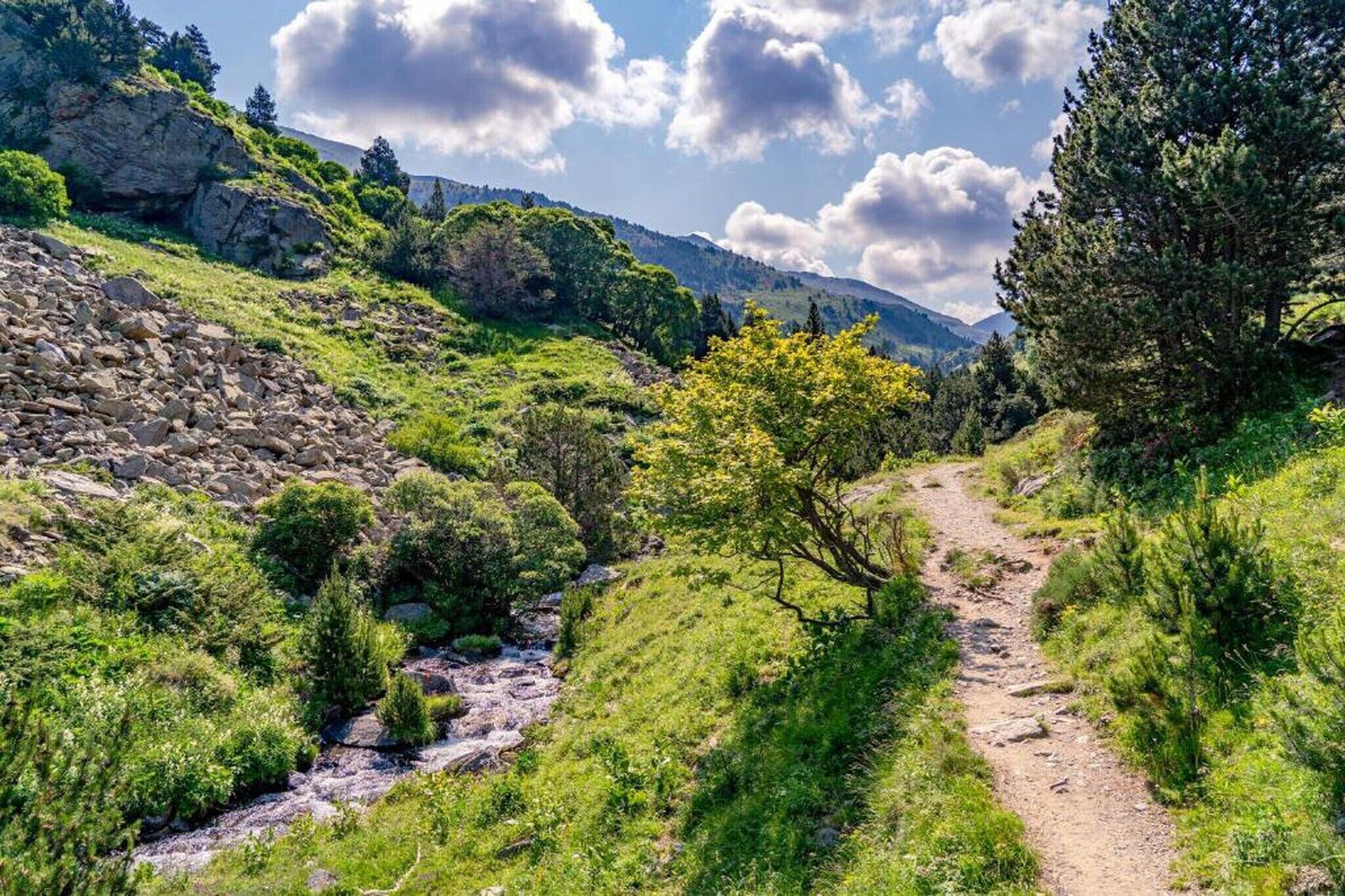 منوع