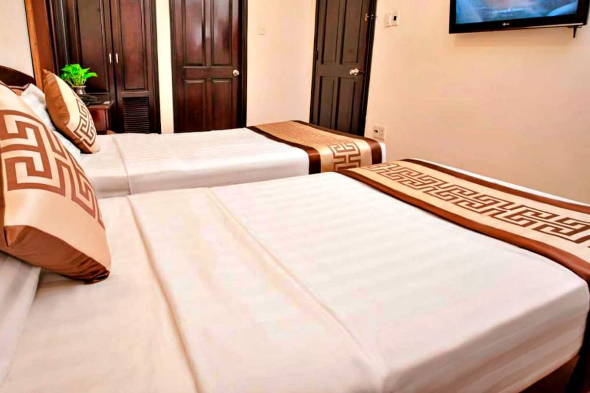 A hotel room with two beds, each with a patterned bedspread and pillows. There is a television mounted on the wall and a plant on a small table beside the beds.