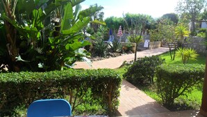 Un patio con un camino adoquinado, mobiliario y abundante vegetación, incluyendo plantas de banano y diversos arbustos.