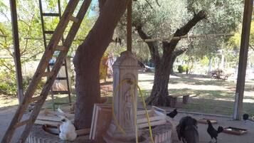 Parco della struttura