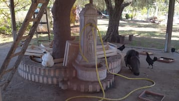 Enceinte de lâhĂ©bergement