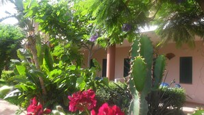 A courtyard with a variety of plants, including a prominent cactus, and a building with a pink facade and arched windows. - Apartment 'Agriturismo Heaven Trilocale 4' with Sea View, Shared Pool and Wi-Fi (ricadi)