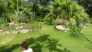 Un jardin agrémenté de diverses plantes et de rochers.