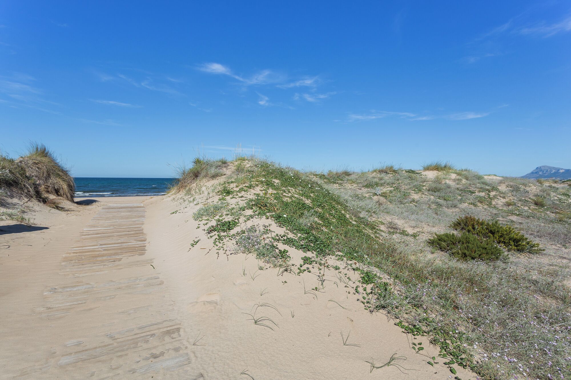 Ubicación cercana a la playa