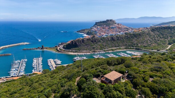 A coastal town with a marina, a hilltop castle, and lush greenery.