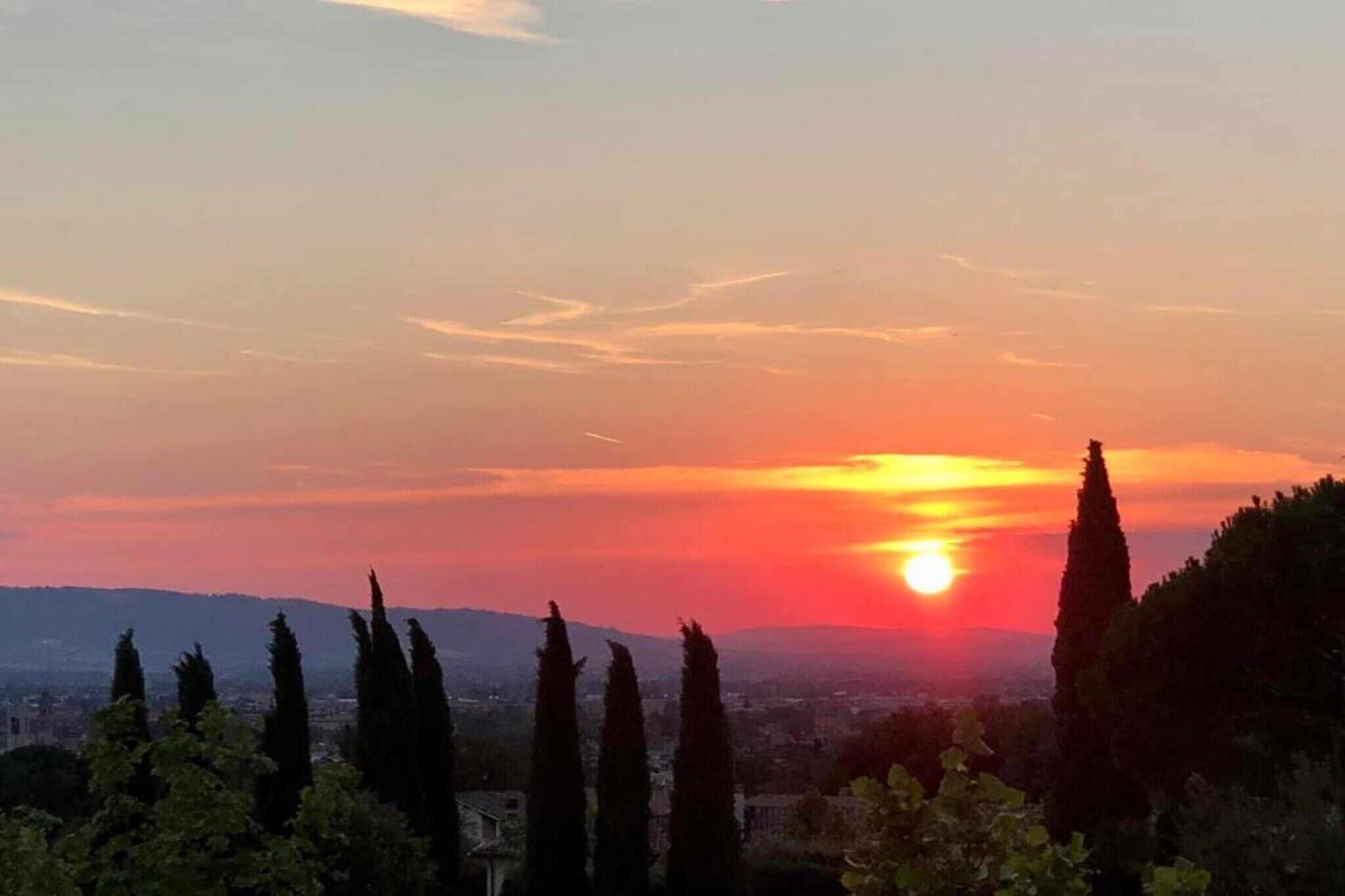 Un atardecer sobre una ciudad con altos cipreses en primer plano.