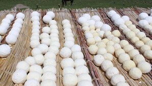 Een groot buitengebied met talloze bolvormige objecten in rijen op een bamboemat, op de achtergrond glooiende heuvels en een paard.