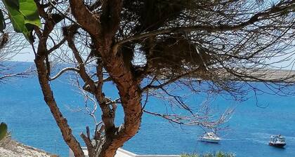 Dammuso detached cottage with garden a few meters from the sea in Lampedusa